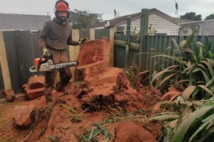 Stump grinding in Auckland
